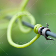 游戏代充便宜的服务器攻击方式