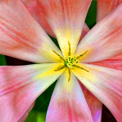 ddos服务器攻击手段