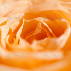 网页DDOS攻击平台