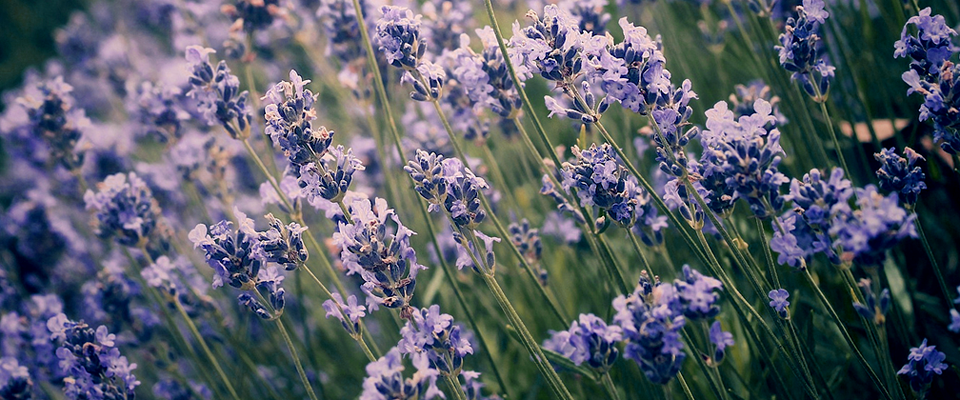 ddos服务器攻击手段