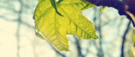 在线DDOS压力测试网页端