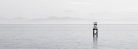 自动化工具的ddos在线攻击平台