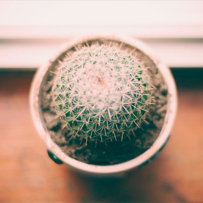 数据分析利器的网页攻击平台